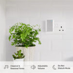 Ring Doorbell Plus with Chime and Additional Quick Release Battery - Image 3
