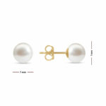 7-7.5mm Cultured Freshwater White Pearl Earrings, 14ct Yellow Gold - Image 5