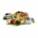 Wicked: Ultimate Pop Up Book - Image 4