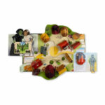 Wicked: Ultimate Pop Up Book - Image 9