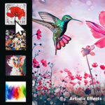 Adobe Photoshop Elements 2026 3 Years (Digital Download) - Image 4