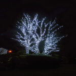 Lights4You 66ft (20m) 120 LED Ice White Outdoor String Lights - Image 3
