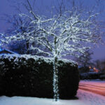 Lights4You 66ft (20m) 120 LED Ice White Outdoor String Lights - Image 4
