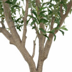 Artificial 8ft Olive Tree in Planter - Image 5