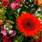 22 Stem Autumn Serenade Mixed Flower Bouquet - Image 3