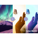 Adobe Photoshop Elements & Premiere Elements 2026 3 Years (Digital Download) - Image 7