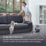 Dyson Big Ball Animal 2 Cylinder Vacuum - Image 3