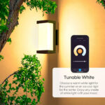 Atomi Smart WiFi Wall Light Sconce, 2 Pack - Image 5