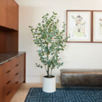 Artificial 6.5ft Eucalyptus Tree in French Crock Planter - Image 7