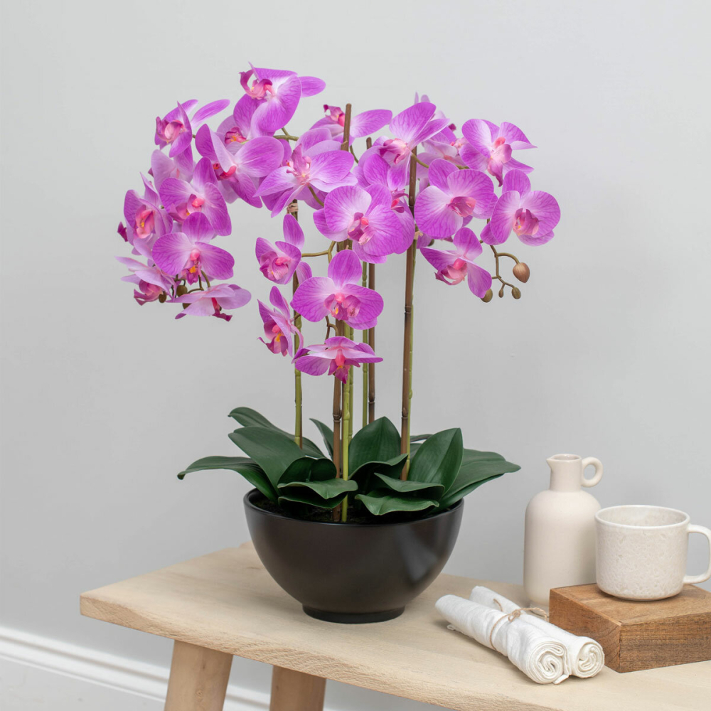 Artificial Orchid in Ceramic Pot in 2 Colours