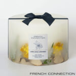 French Connection Botanical 1.5kg Candle in Vetivert, Eucalyptus & Sea Salt - Image 14