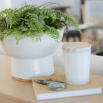 Sand & Fog Scalloped Fragranced Candle, 3.3kg in Teak Tobacco - Image 7