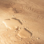 Golden Select Oslo (Light Oak) Splash Shield AC5 Laminate Flooring with Foam Underlay - 1.146 m² Per Pack - Image 6