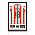 Jermain Defoe Signed Framed Sunderland Football Shirt including 2 Photos
