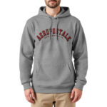Aeropostale Men's Fleece Hoody in Heather Grey