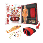 VR Box Set Human Body - Image 2