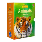 Usborne Beginners Boxset in 3 Options: Animals, Nature, or Science - Image 2