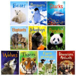 Usborne Beginners Boxset in 3 Options: Animals, Nature, or Science - Image 3