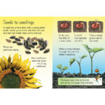 Usborne Beginners Boxset in 3 Options: Animals, Nature, or Science - Image 6