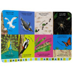 My Very First Britannica Encyclopedia - Image 4