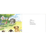 Hairy Maclary 10 Book Collection by Lynley Dodd (5+ Years) - Image 5