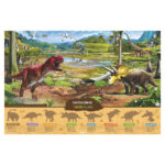 Magnetic Boxes in 3 Options: Human Body, Dinosaurs, Space - Image 4