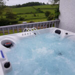 Blue Whale Spa Huntington Beach 92-Jet 5 Person Hot Tub - Delivered and Installed - Image 5