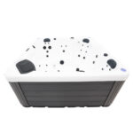 Platinum Spas Trident 40-Jet 5 Person Hot Tub - Delivered and Installed - Image 4