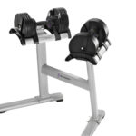 StairMaster 88lbs (40kg) TwistLock Adjustable Dumbbell Set with Stand