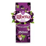 Ribena Ready to Drink Blackcurrant, 24 x 250ml - Image 2