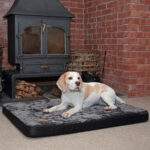 Snoozzzeee Dog Deluxe Reversible Pet Mat 28" x 39" in Grey - Image 2