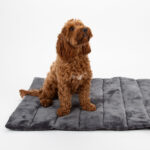 Scruffs Reversible Roll Up Travel Bed, 100cm x 70cm in Grey - Image 3