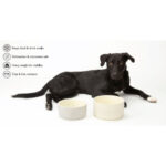 Scruffs Dog Food & Water Bowl Set