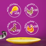 Whiskas Poultry Feast in Jelly Pouches 7+, 40 x 85g - Image 2