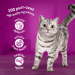 Whiskas Poultry Feast in Jelly Pouches 7+, 40 x 85g - Image 3