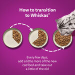 Whiskas Poultry Feast in Jelly Pouches 7+, 40 x 85g - Image 4