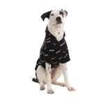 Kirkland Signature Pet Logo Hoodie in Grey - Image 13