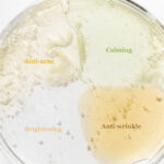 Beauty of Joseon Discovery Serum Set, 4 x 10ml - Image 3