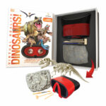 VR Box Set Dinosaur - Image 2