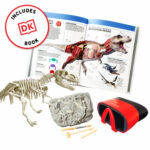 VR Box Set Dinosaur - Image 3