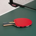 Butterfly Timo Boll Carbon Indoor Table Tennis Bat and Ball Set - Image 2