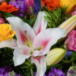 50 Stem Festival Glow Flower Bouquet with Greetings Card - Image 5