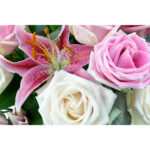 22 Stem Colombian Rose & Oriental Dutch Lily Flower Bouquet with Greetings Card - Image 8