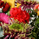 25 Stem Vibrant Crush Mixed Flower Bouquet - Image 8