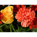 25 Stem Vibrant Crush Mixed Flower Bouquet - Image 9