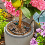 Gardena AquaBloom Solar-Powered Irrigation Set - Image 3