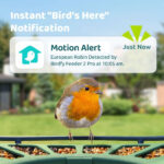 Birdfy Feeder 2 Pro Dual-Lens Smart Bird Feeder with Solar Panel - Image 4