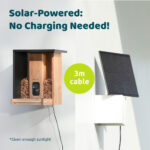 Birdfy Bamboo Bird Feeder with Camera & Solar Panel - Image 5