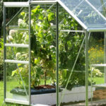 Vitavia Vermont 6200 6ft 2" x 10ft 4" (2 x 3.2 m) Greenhouse Package - Image 4