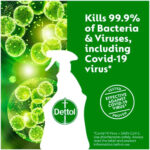 Dettol Antibacterial Surface Cleaning Spray, Lime and Mint, 750 ml (Pack of 1) (Packaging May Vary) - Image 13